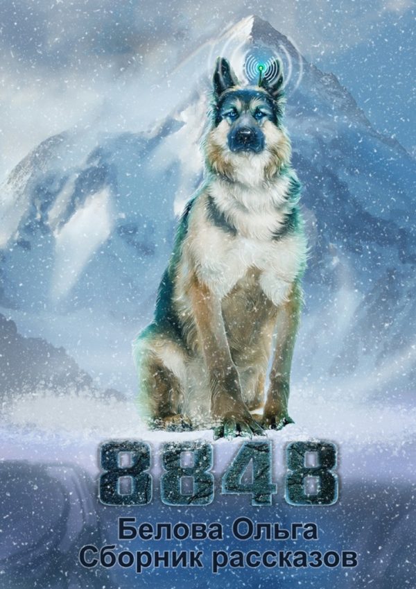 Обложка книги «8848»