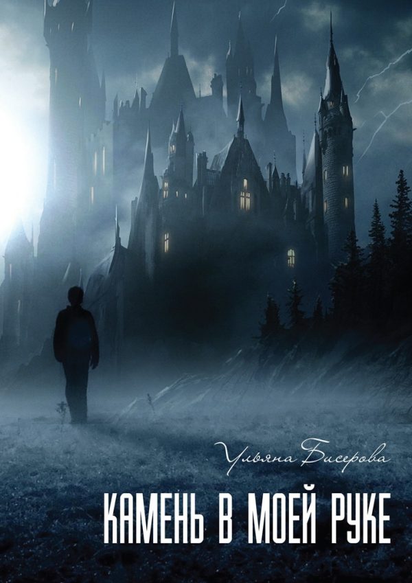 Обложка книги «Камень в моей руке»