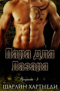 Обложка книги «Пара для Лазаря»