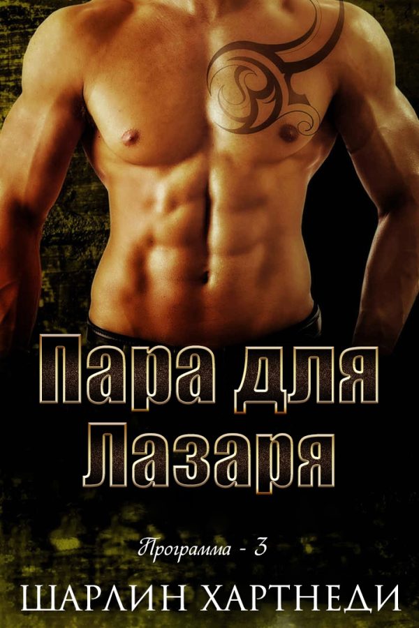 Обложка книги «Пара для Лазаря»