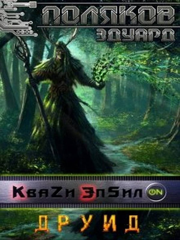 Обложка книги «Друид»