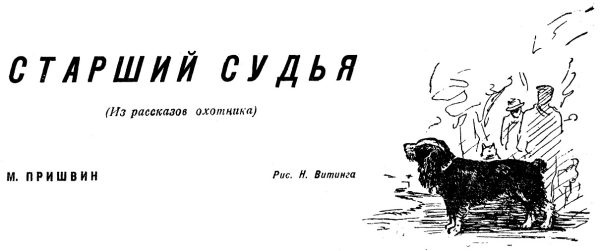Обложка книги «Старший судья»