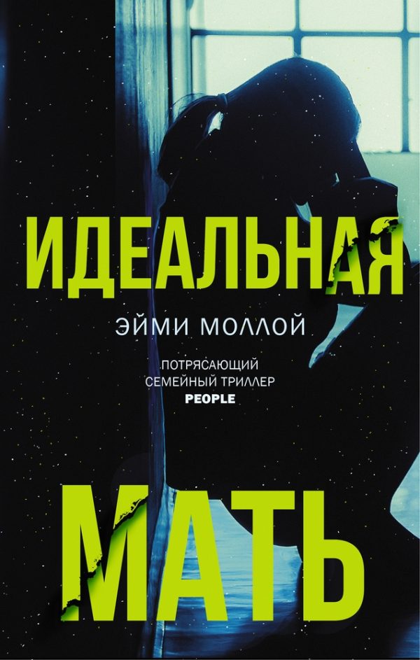Обложка книги «Идеальная мать»