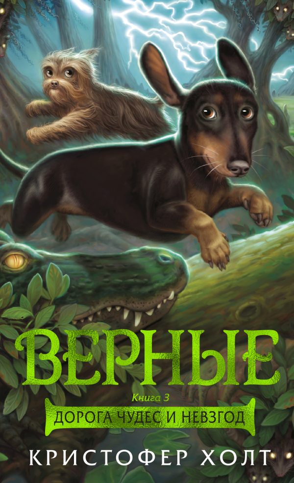 Обложка книги «Дорога чудес и невзгод»