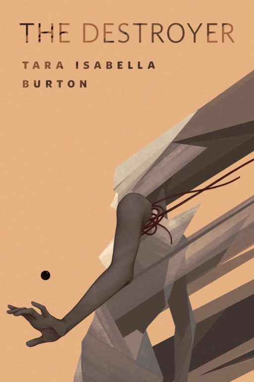 Обложка книги «The Destroyer»