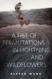 Обложка книги «A Fist of Permutations in Lightning and Wildflowers»