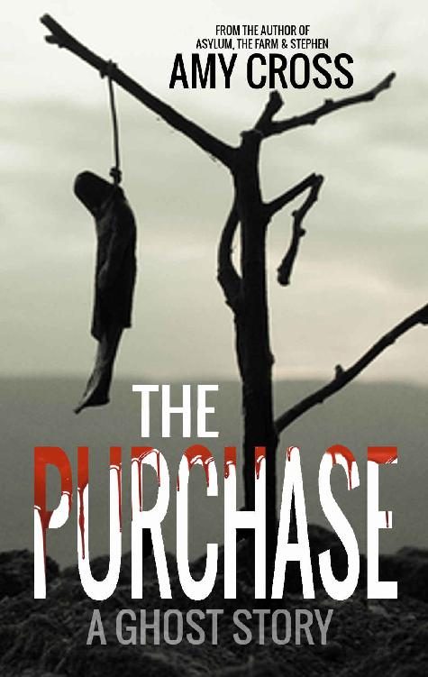 Обложка книги «The Purchase»