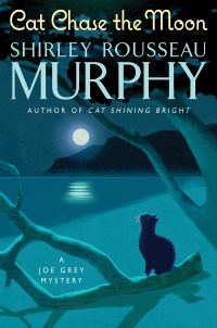 Обложка книги «Cat Chase The Moon»