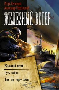 Обложка книги «Железный ветер»