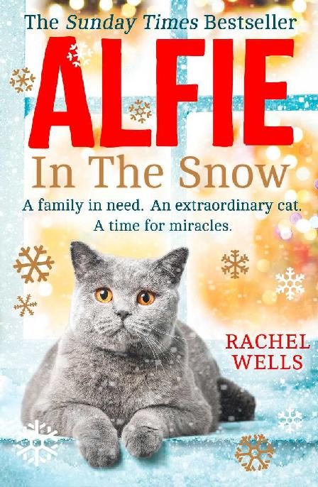 Обложка книги «Alfie In The Snow»