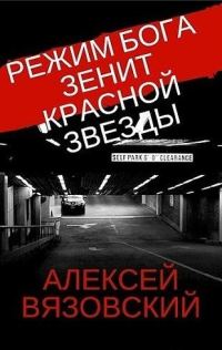 Обложка книги «Зенит Красной Звезды»