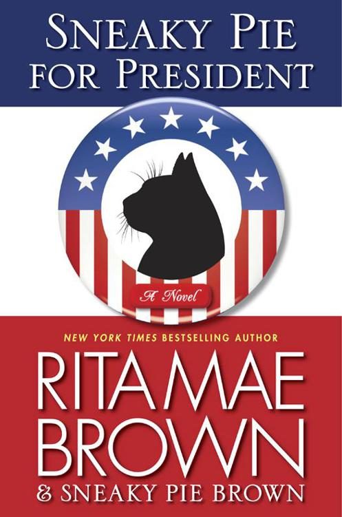 Обложка книги «Sneaky Pie For President»