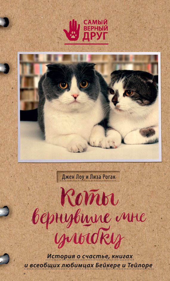 Обложка книги «Коты, вернувшие мне улыбку. История о счастье, книгах и всеобщих любимцах Бейкере и Тейлоре»