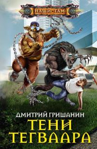 Обложка книги «Тени Тегваара»