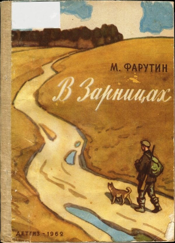Обложка книги «В Зарницах»