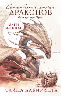 Обложка книги «Тайна Лабиринта»