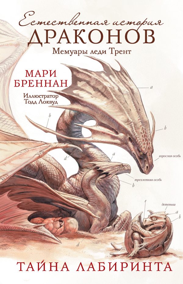 Обложка книги «Тайна Лабиринта»