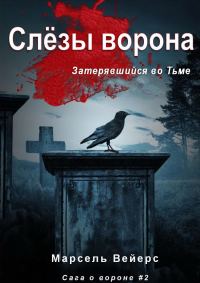 Обложка книги «Слёзы Ворона»