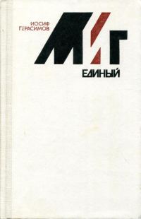 Обложка книги «Миг единый»