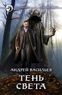 Обложка книги «Тень света»