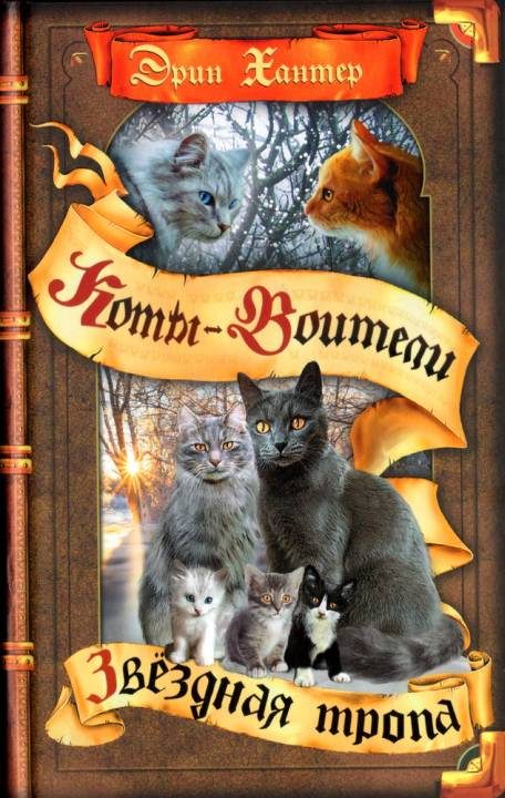 Обложка книги «Звёздная тропа»