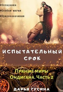 Обложка книги «Испытательный срок»