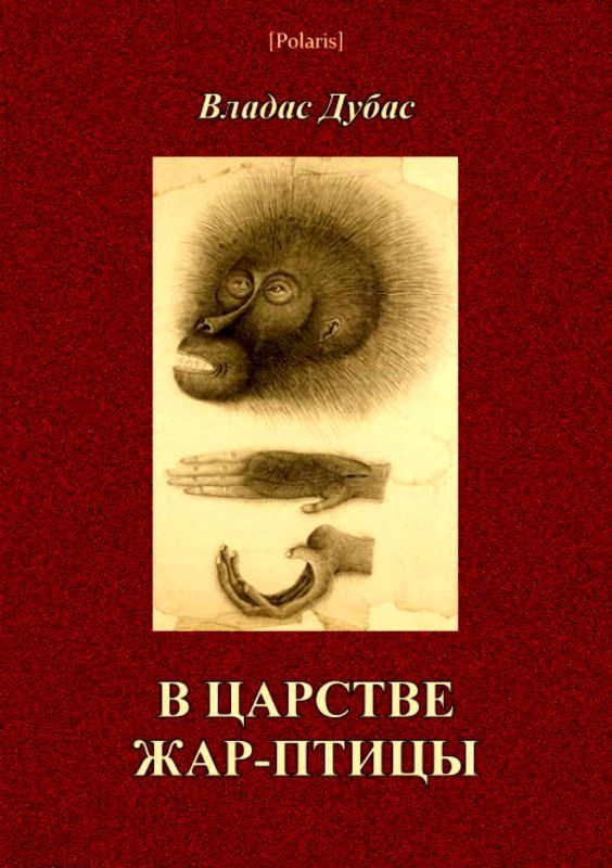 Обложка книги «В царстве жар-птицы»