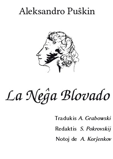 Обложка книги «La neĝa blovado»