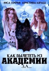 Обложка книги «Как вылететь из Академии за...»