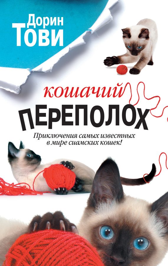 Обложка книги «Кошачий переполох»