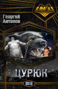 Обложка книги «Цурюк»