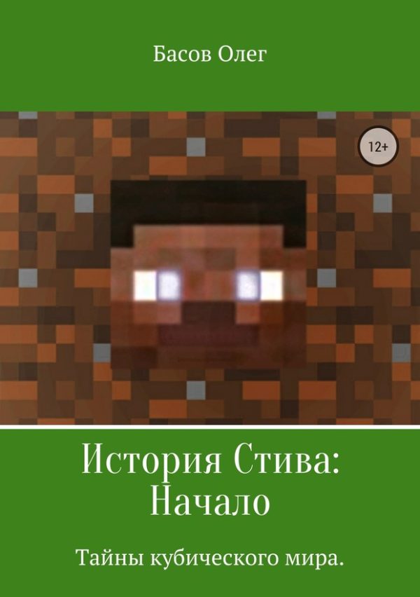 Обложка книги «История Стива: Начало»