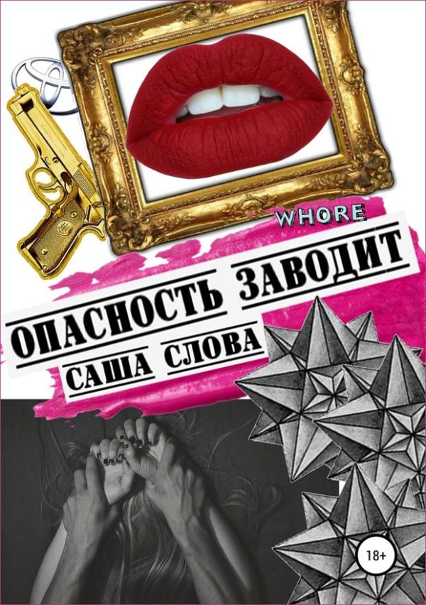 Обложка книги «Опасность заводит»