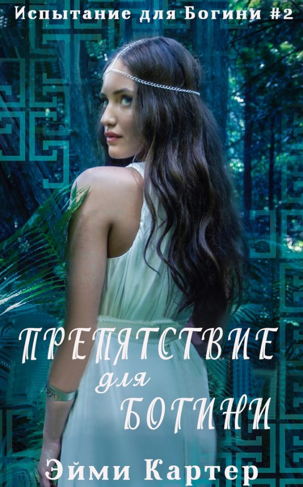 Обложка книги «Препятствие для Богини»