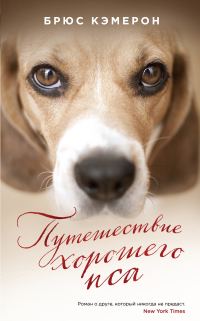 Обложка книги «Путешествие хорошего пса»