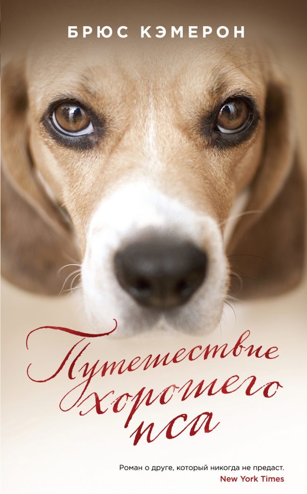 Обложка книги «Путешествие хорошего пса»