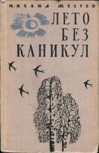 Обложка книги «Лето без каникул»