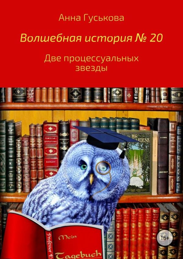 Обложка книги «Две процессуальных звезды»