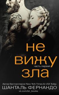 Обложка книги «Не вижу зла»
