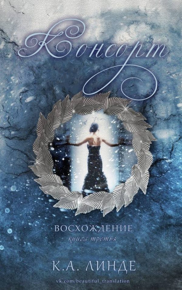 Обложка книги «Консорт»