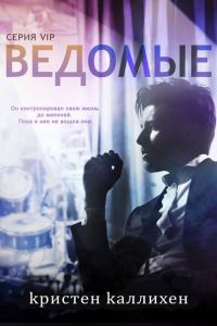 Обложка книги «Ведомые»