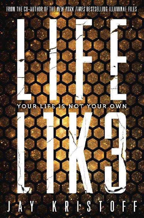 Обложка книги «LIFEL1K3 (Lifelike)»