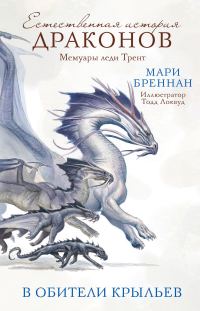 Обложка книги «В Обители Крыльев»