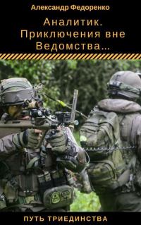 Обложка книги «Аналитик»