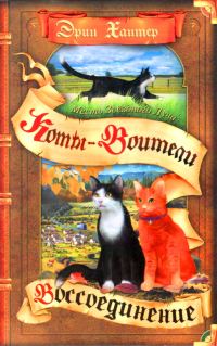 Обложка книги «Месть Звёздного Луча. Воссоединение»