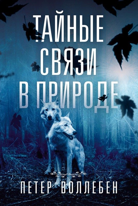Обложка книги «Тайные связи в природе»