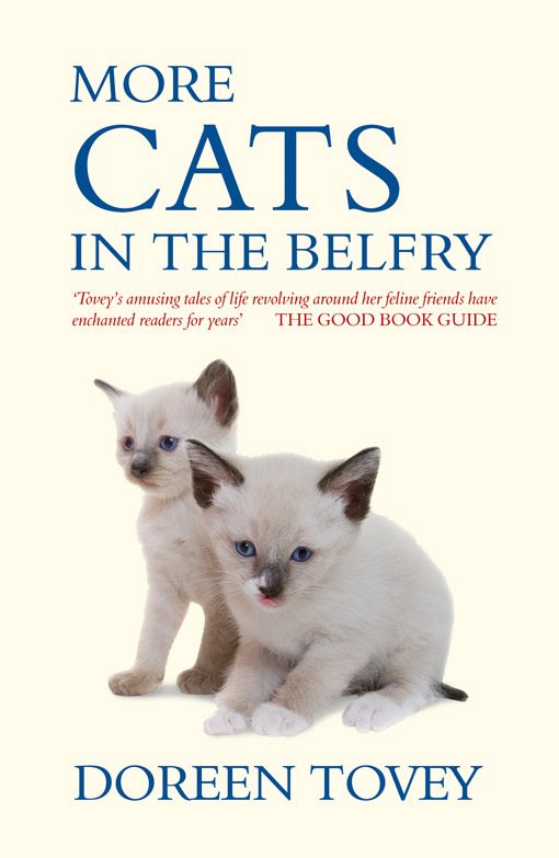 Обложка книги «More Cats In The Belfry»