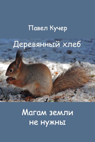 Обложка книги «Магам земли не нужны»