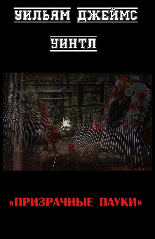 Обложка книги «Призрачные пауки»