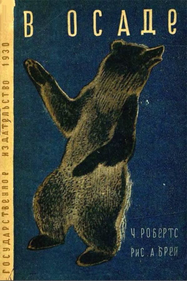Обложка книги «В осаде»